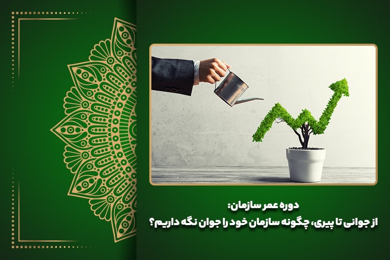 دوره عمر سازمان: از جوانی تا پیری، چگونه سازمان خود را جوان نگه داریم؟