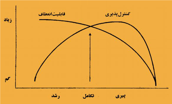 دوره عمر سازمان